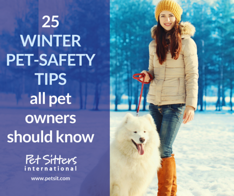 25 winter pet-safety tips all pet owners should know - The Lucky Pup
