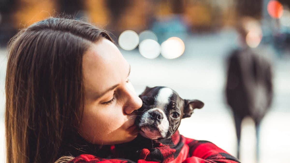 Dog Moms Take Pet Parenting Seriously - The Lucky Pup